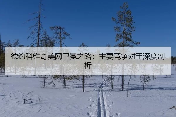 德约科维奇美网卫冕之路：主要竞争对手深度剖析