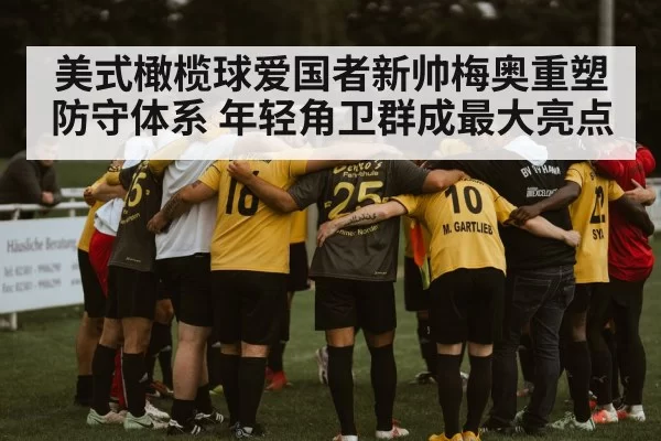 美式橄榄球爱国者新帅梅奥重塑防守体系 年轻角卫群成最大亮点