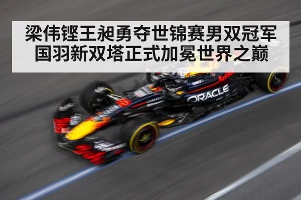 梁伟铿王昶勇夺世锦赛男双冠军 国羽新双塔正式加冕世界之巅
